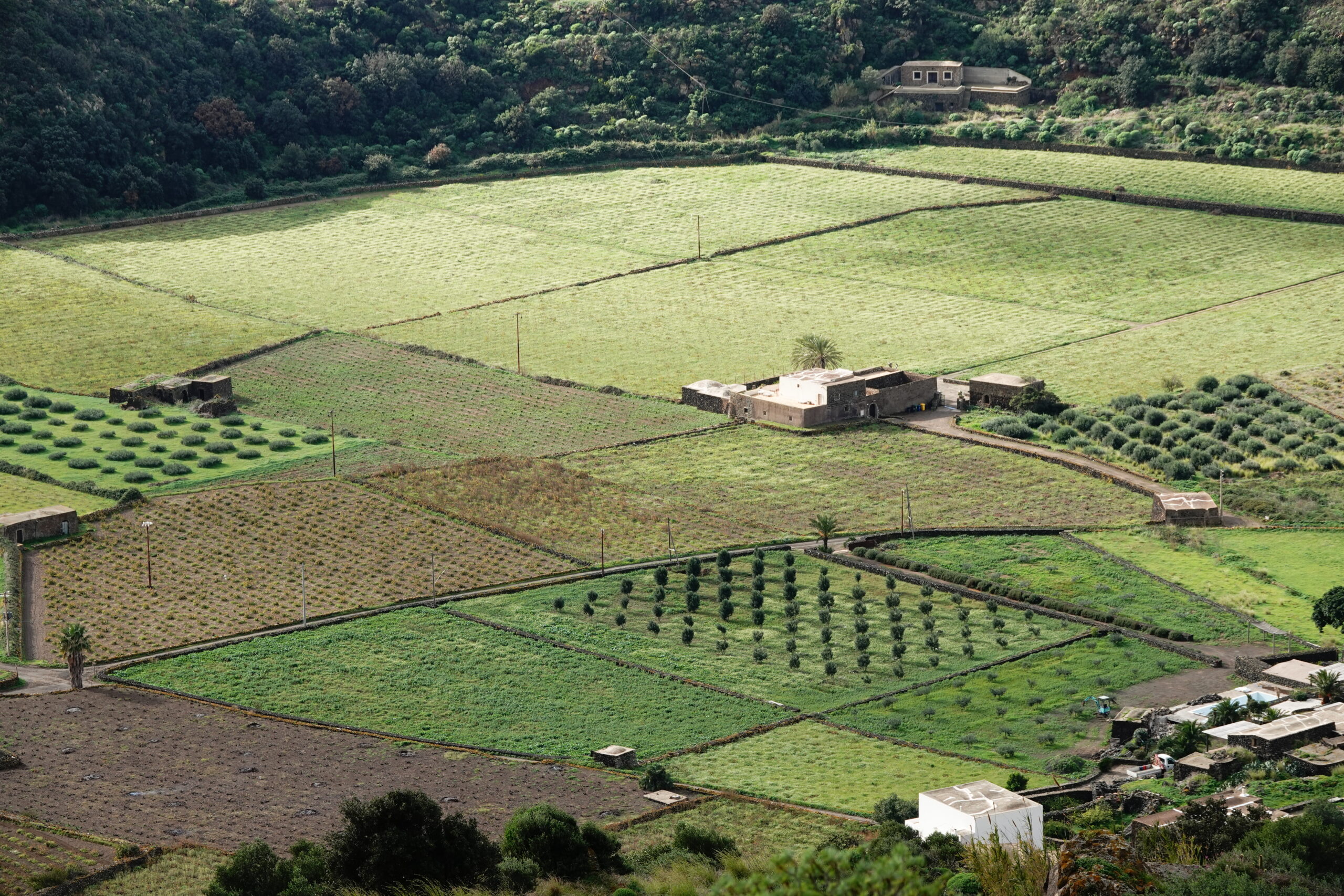 WATERISE PARTNERS IN PANTELLERIA TO STUDY TRADITIONAL NATURE‑BASED WATER SOLUTIONS
